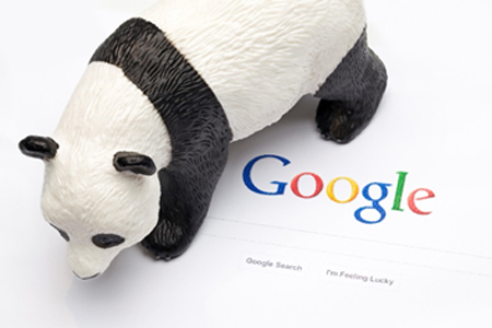 A Google Webmaster Analyst Explains Panda